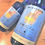 SOUR to the FUTURE 沖縄んブルー