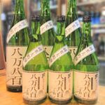 鳥取 千代むすび 純米大吟醸 八万八百