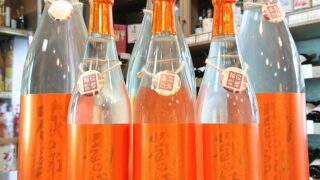 ワイルド＆フルーティーな新焼酎！「蔵の師魂 The Orange 新焼酎」到着