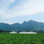 【鹿児島県】 蔵の師魂：小正醸造さん