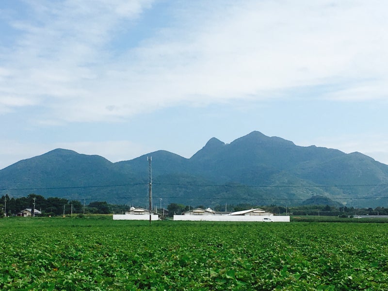 【鹿児島県】 蔵の師魂：小正醸造さん