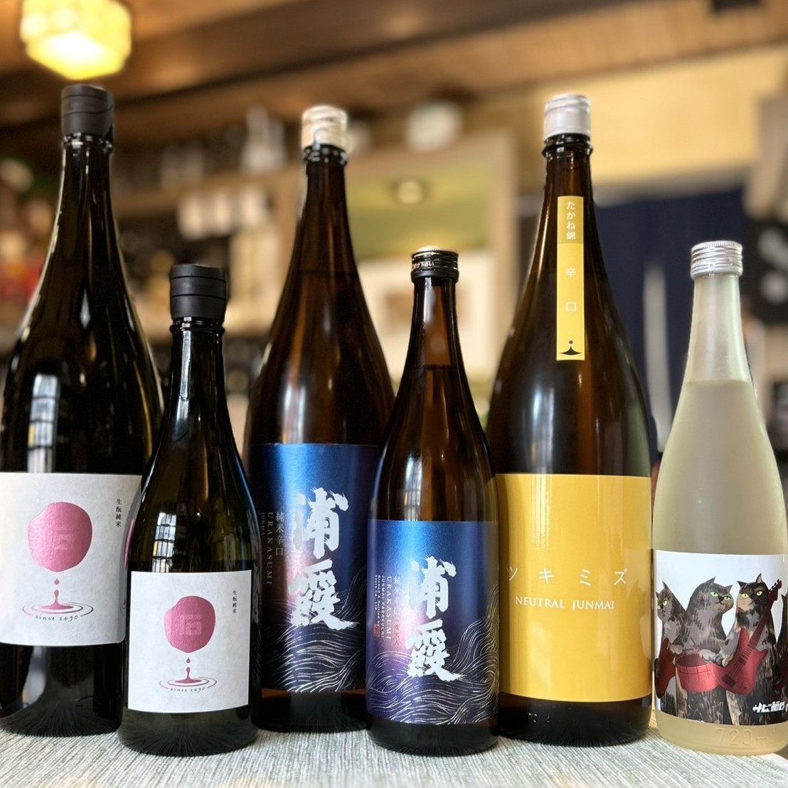 試飲会で選んだお酒たち!「まるいし 生もと純米」「浦霞 米辛口 一度火入」「ツキミズ ニュートラル」「サビ猫ロック」のご紹介!