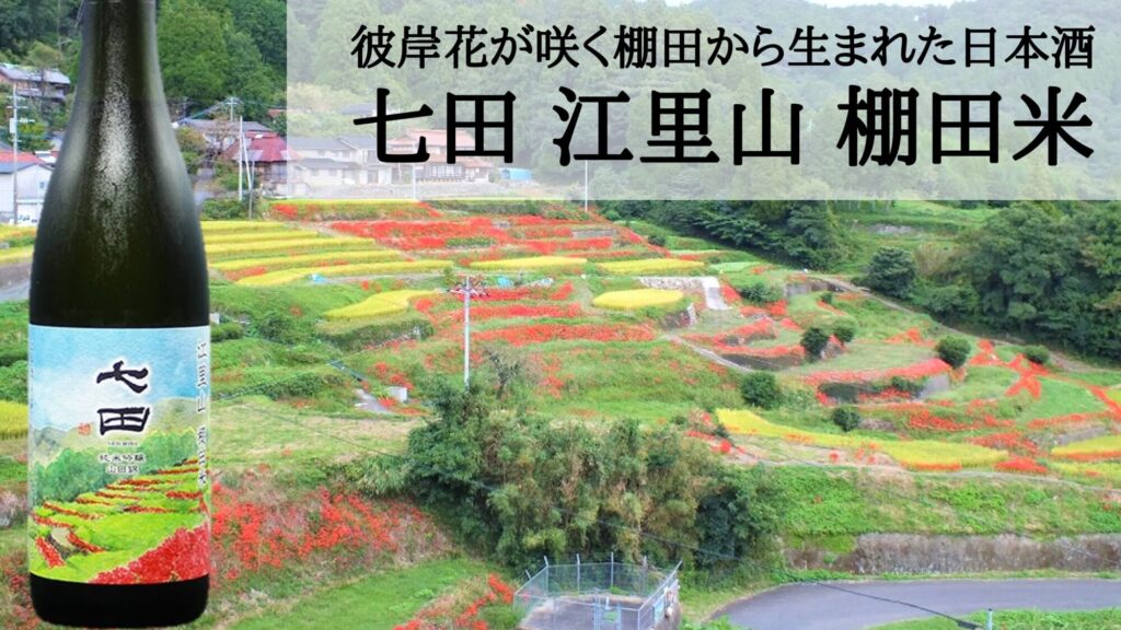 七田 江里山 棚田米