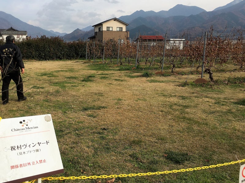 【山梨県】 シャトー・メルシャン ワイナリー見学
