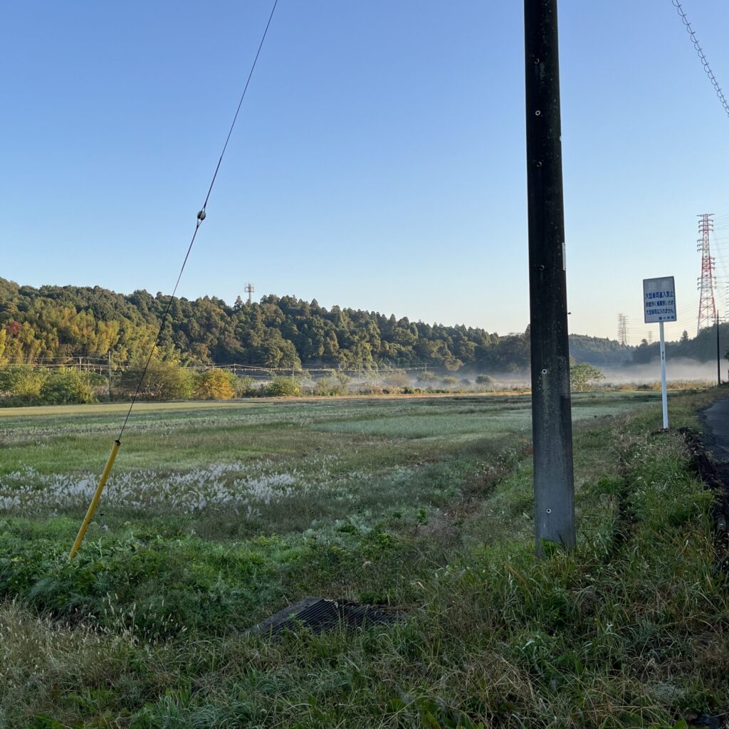 フレッシュな日本酒ヌーボー「酒々井の夜明け」到着です!