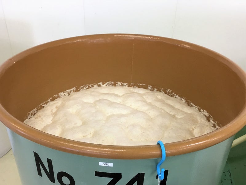 【新潟県】 八海山：八海醸造さん ①吟醸蔵