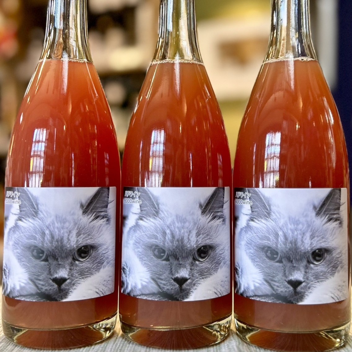 陸奥八仙さんから初のロゼワイン「8000wine マスカットベーリーA」が到着!