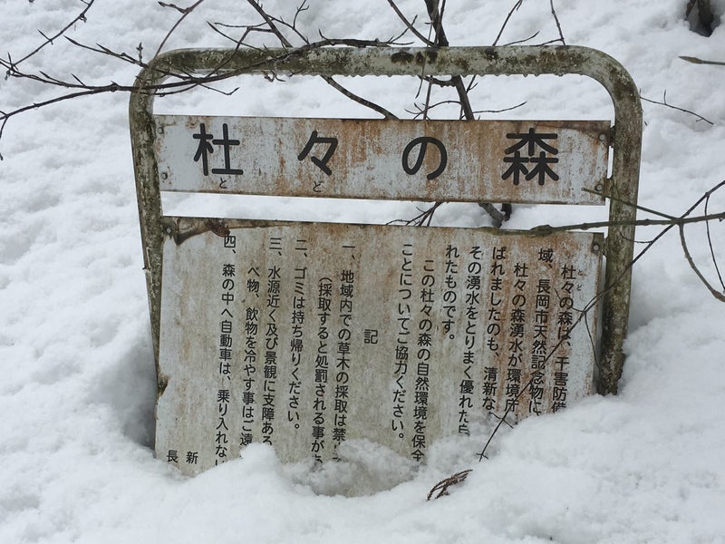 【新潟県】 越乃景虎：諸橋酒造さん