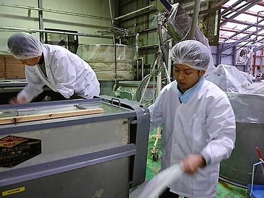 【鳥取県】 千代むすび酒造さん　酒造り体験