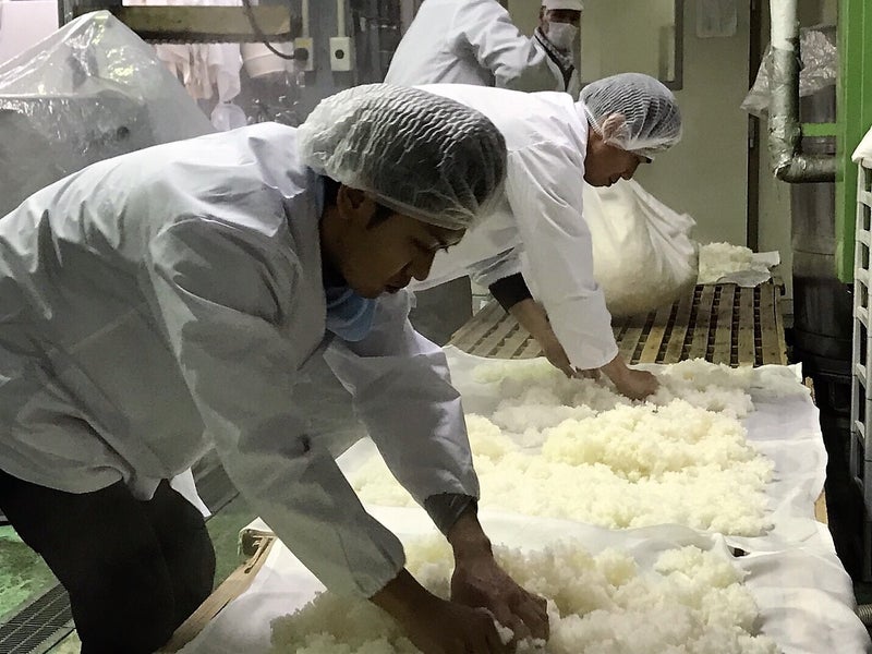 【鳥取県】 千代むすび酒造さん　酒造り体験