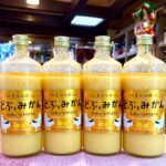 つぶつぶがおいしい夏のどぶろく！「どぶとみかん」のご紹介！